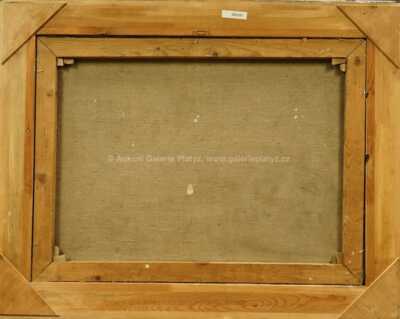  / Bar v New Yorku / Antonín Pelc