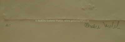  / Marie Josefova bez ratolesti / Olbram Zoubek