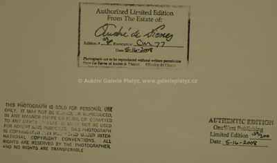  / Marilyn Monroe 1949 / Andre de Dienes