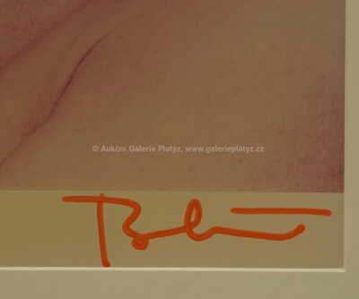  / Marylin Monroe - Last siting / Bert Stern