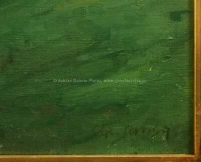  / Potůček v údolí / Václav Jansa