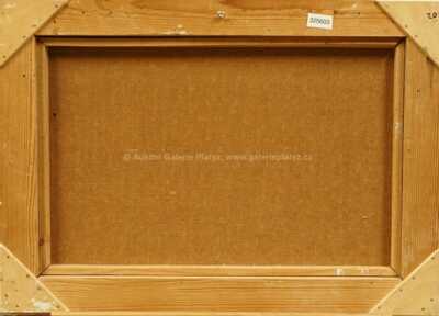  / Motiv od řeky / Jiří Chadima