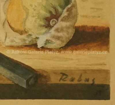  / Zátiší / Václav Rabas