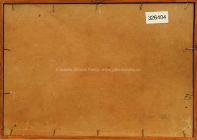  / Staveniště / František Gross