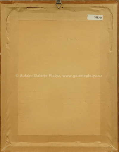  / Ve čtvrti červených luceren / Adolf Born