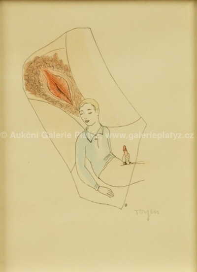  / Mladíkův sen / Marie Čermínová - Toyen