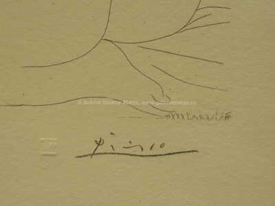  / Tři ženy / Pablo Picasso