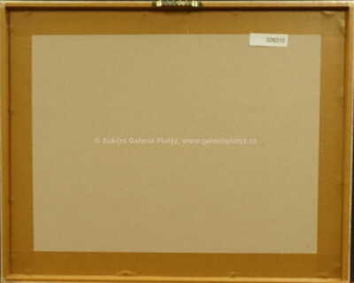  / Prázdná hnízda / Marie Čermínová - Toyen