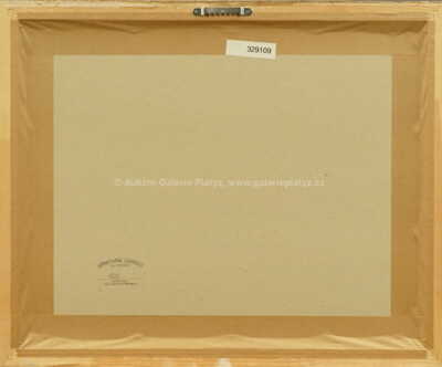  / Z cyklu Schovej se, válko! 1 / Marie Čermínová - Toyen