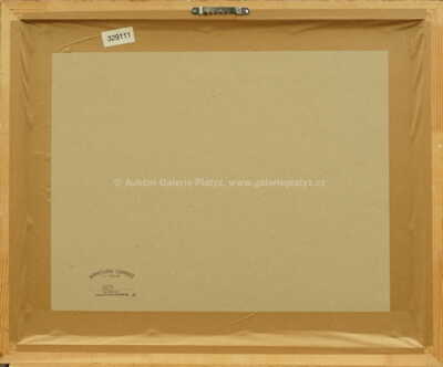  / Z cyklu Schovej se, válko! 3 / Marie Čermínová - Toyen