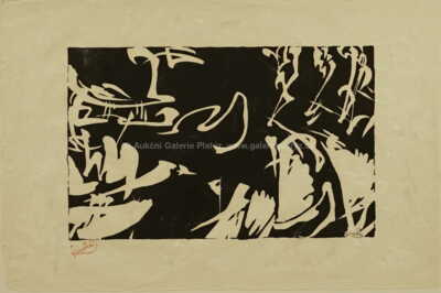  / Bílé rytmy na černé / František Kupka