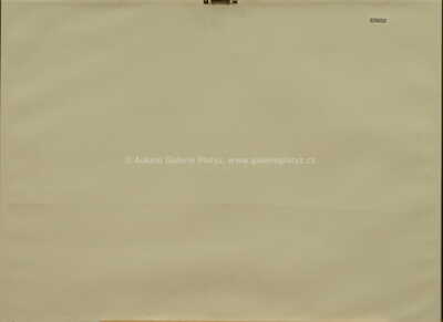  / Bílé rytmy na černé / František Kupka