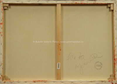  / Dívka s balonem / Robert Jiran