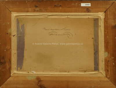  / Pozdní odpoledne na Svratce / Ota Bubeníček