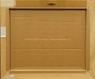  / Pozdní odpoledne na Svratce / Ota Bubeníček