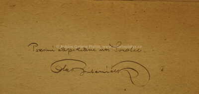  / Pozdní odpoledne na Svratce / Ota Bubeníček