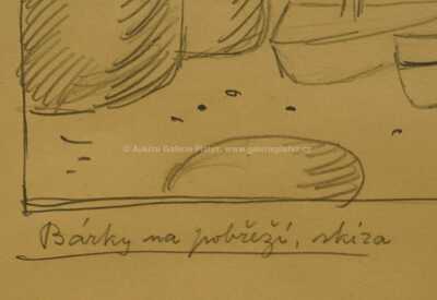  / Bárky na pobřeží / Jan  Zrzavý