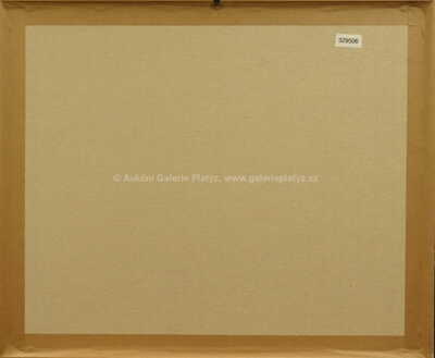  / Z cyklu Střelnice 1 / Marie Čermínová - Toyen