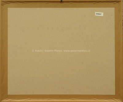  / Z cyklu Střelnice 2 / Marie Čermínová - Toyen