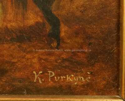  / V jízdárně / Karel Purkyně