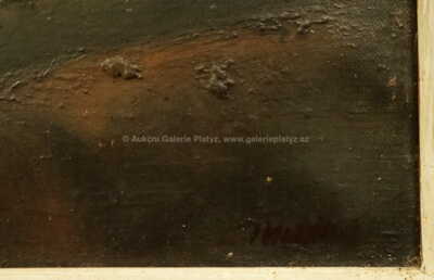  / Krajina / Dana Puchnarová-Storm