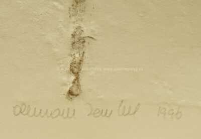  / Sergeji! Drahuno! / Olbram Zoubek