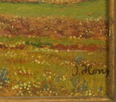  / Rozkvetlý keř / Jan Honsa