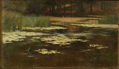  / Lekníny / Karel Liebscher