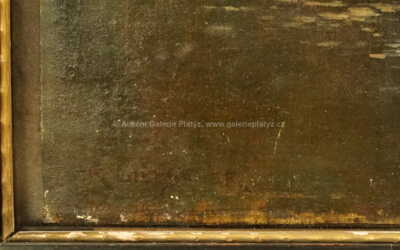  / Lekníny / Karel Liebscher