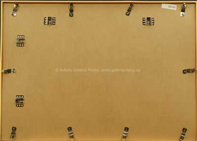  / Mercedes / Václav Zapadlík