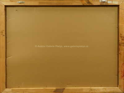  / U kadeřníka / Karel Souček (Bor)