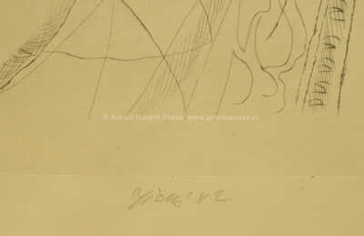  / Harlekýn / František  Tichý