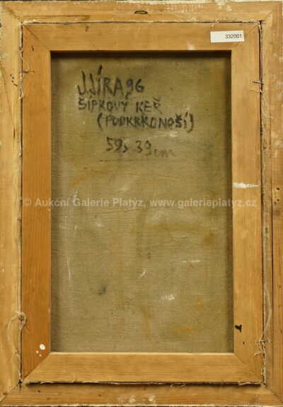  / Šípkový keř / Josef Jíra