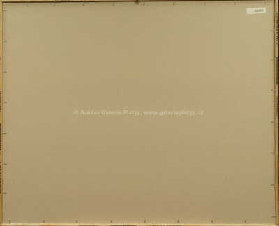  / Newyorská burza / Kamil Kubík