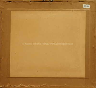  / Trávy v mlze / Ota Janeček