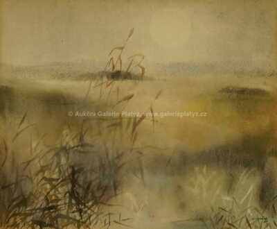  / Trávy v mlze / Ota Janeček