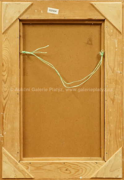  / Starý hrad / Zdeněk Mlčoch