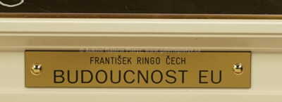  / Budoucnost EU / František Ringo Čech