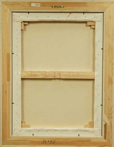  / Budoucnost EU / František Ringo Čech