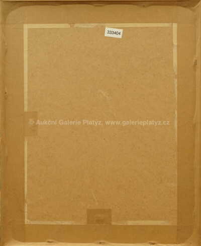  / Portrét / Václav Špála