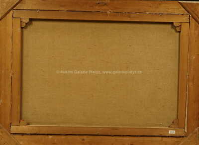  / Dalmácie / Bedřich Ženíšek