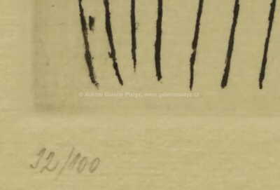  / Anděl / Jan  Zrzavý