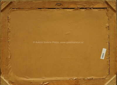  / Pohled do údolí / Ota Bubeníček