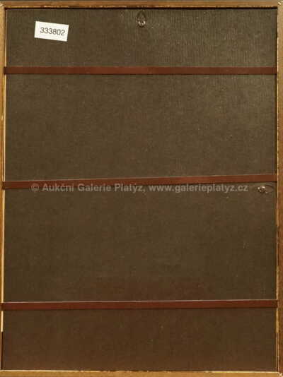  / Z Paříže / Adolf Born