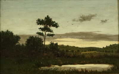  / Rybník při západu slunce / Albín Lhota