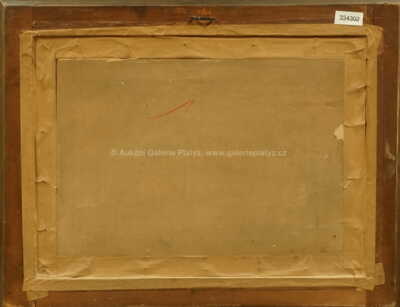  / Z Karlova mostu / Stanislav Feikl