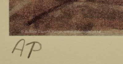  / Newyorská banka na Wall Street / Kamil Kubík