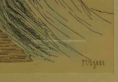  / Dívka s dlouhým závojem / Marie Čermínová - Toyen