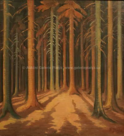  / Hluboký les / Ferdiš Duša