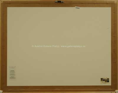  / Rychlé šípy / Marko Čermák